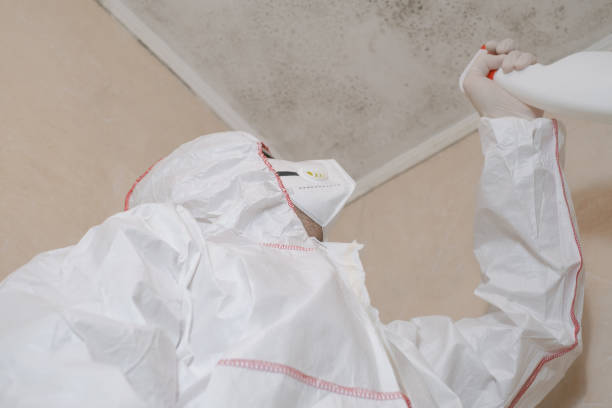 Best Crawl Space Mold Remediation in Chain Lake, WA
