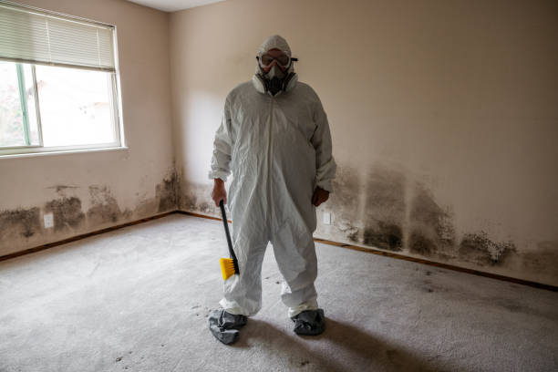 Best Post-Flood Mold Remediation in Chain Lake, WA